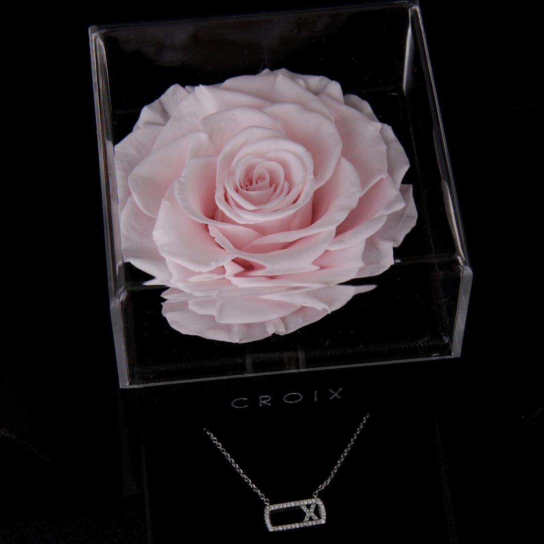 Slidiérre + Flower Box Candy Rose