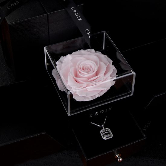 Lettrés + Flower Box Candy Rose
