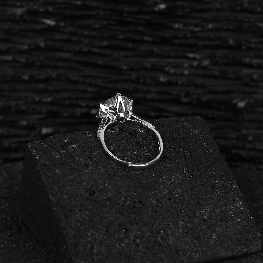 Solaivaitte CROIXCUT