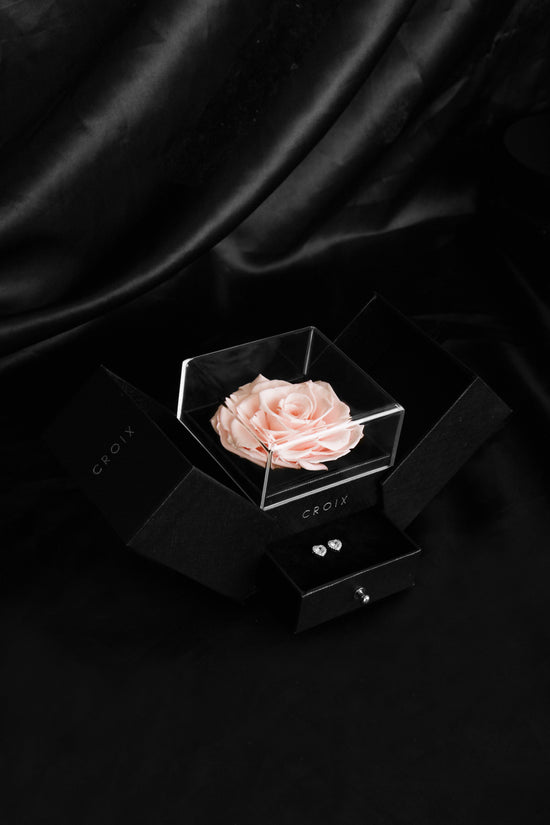 Flower Box - Dusty Rose